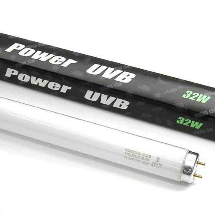 楽天市場】交換球 ポゴナクラブ ビバリウムグロー パワーUVB 32W 