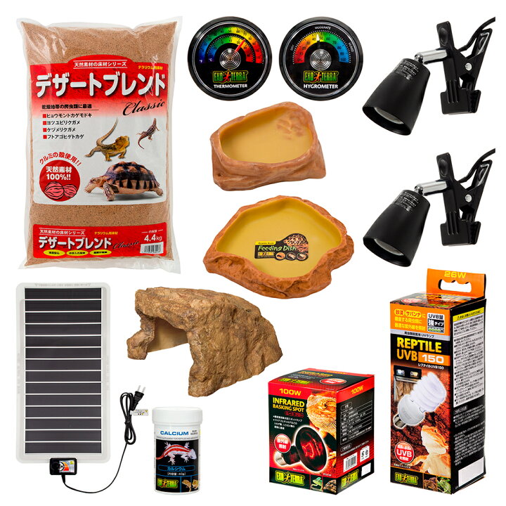 楽天市場】フトアゴヒゲトカゲ飼育セット （90cmケージ対応） 乾燥  