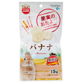 マルカン　果実のおたより　バナナ　15g　小動物　おやつ　果物　関東当日便