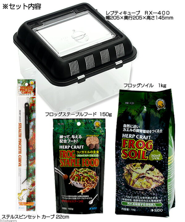 楽天市場 ツノガエル飼育セット 関東当日便 Charm 楽天市場店
