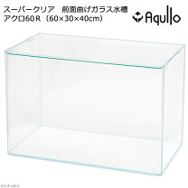 楽天市場】Aqullo アクロ60 スーパークリアの通販