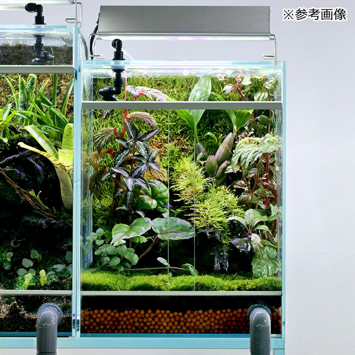 楽天市場】アクロ TRIANGLE テラリウム・アクアポニックス  