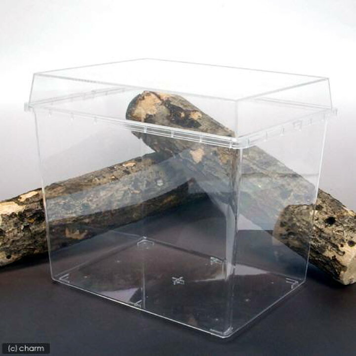 楽天市場 多機能飼育ケース デジケースｈｒ ３ｈ 特大 ３４０ ２６５ ３００ｍｍ 昆虫 カブトムシ クワガタ プラケース 関東当日便 Charm 楽天市場店