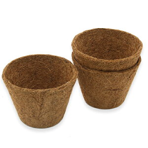 @VK|bg@126×100×80mm@3Zbg@֓