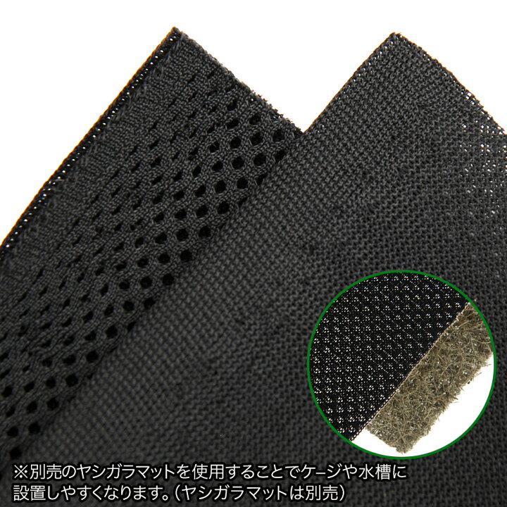 おトク ノーブランド ヤシガラマット ６００ ２ｃｍ厚 ２枚 Shipsctc Org