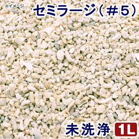 未洗浄　サンゴ砂　セミラージ（＃5）　1L　海水水槽用底砂　お一人様1点限り【HLS_DU】　関東当日便