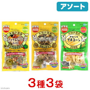 }J@ňb݁@Zbg@3e1܁@@nX^[@``@֓