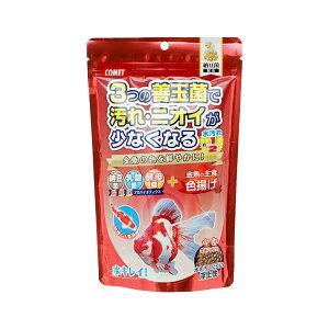 Rbg@̎H[ہ@Fg@@200g@㐫@̉a@֓