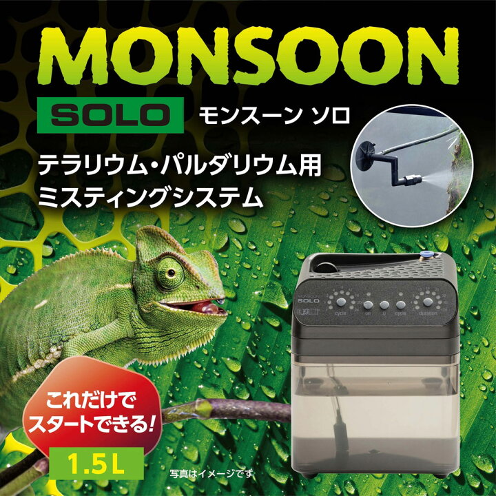 楽天市場】GEX エキゾテラ モンスーンソロ ミスティング カメレオン 