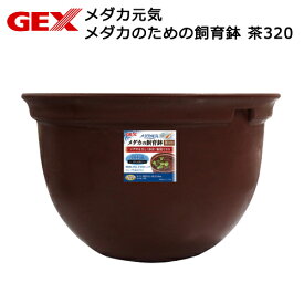楽天市場 メダカ 鉢 熱帯魚 アクアリウム ペット ペットグッズ の通販 楽天市場 メダカ 鉢 熱帯魚 アクアリウム ペット ペットグッズ の通販