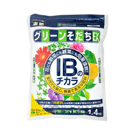 花ごころ　IBのチカラ　グリーンそだちEX　1．4kg【HLS_DU】　関東当日便