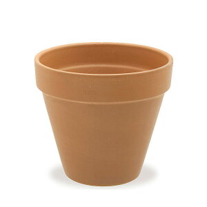 A@f[}@X^_[h|bg@21cm@m@T{e@eRb^@񂹐A@֓