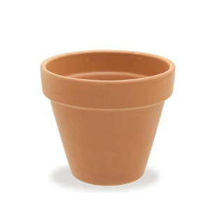 A@f[}@X^_[h|bg@17cm@m@T{e@eRb^@񂹐A@֓