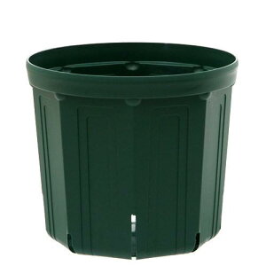 スリット鉢 カネヤ産業 CSM−240 モスグリーン お一人様10点限り バラ鉢 果樹鉢 関東当日便