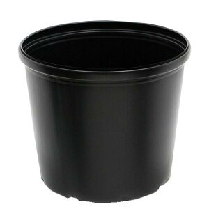 @rj[|bg@a37i29j×31cm@@t@@nX@||bg@ll2_@֓