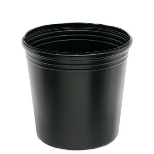 @rj[|bg@a31i23D5j×30D5cm@t@@nX@||bg@֓