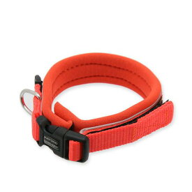 犬　首輪　イージードッグ　ネオカラー　XS　（首周り28〜31cm）　オレンジ　小型犬用　関東当日便