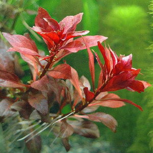 ijhEBWA@yX@ritji_ji3{j