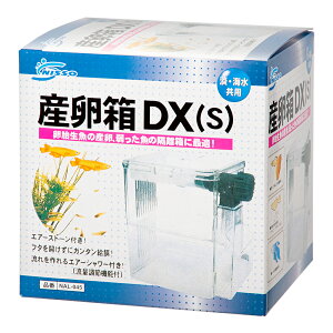 楽天市場 ニッソー 産卵箱 ｄｘ ｓ 関東当日便 Charm 楽天市場店