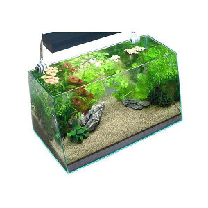 ijZbg60cmp@10@R΁@MLTCY2ti1pbNj@{Bl