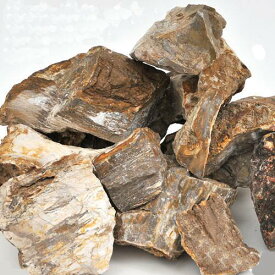 形状お任せ　木化石　サイズミックス　10kg　60cm水槽向け　アクアリウム　レイアウト素材　関東当日便