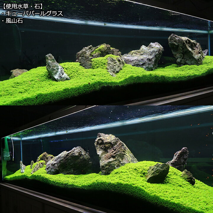 楽天市場 形状お任せ 風山石 サイズミックス 約５ ２５ｃｍ １５ｋｇ ６０ｃｍ水槽向け 沖縄別途送料 関東当日便 Charm 楽天市場店