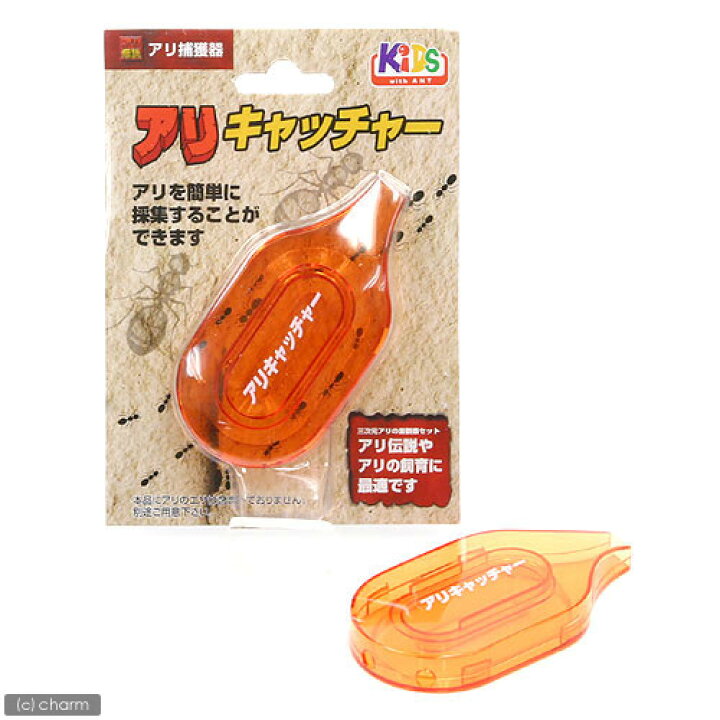 日本動物薬品 ニチドウ アリキャッチャー アリ捕獲器 関東当日便 charm ニチドウ アリ捕獲器 アリキャッチャー