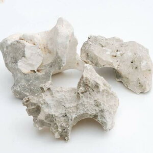 `󂨔C@΃TS@SSTCYi10`15cmj@3@ANAE@CAEgfށ@_J@AtJVNbh@C@֓