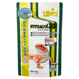 キョーリン フトアゴゲル 60g フトアゴヒゲトカゲ フトアゴ フード お一人様25点限り 関東当日便