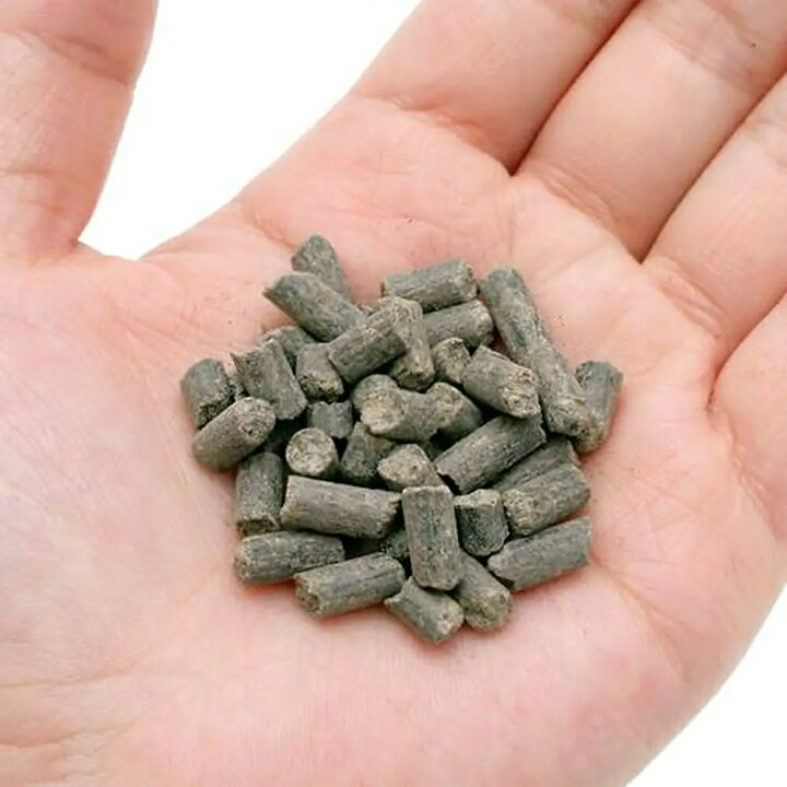 楽天市場 テトラ イニシャルスティック ３００ｇ 底砂用 水草 成長促進剤 持続性 関東当日便 Charm 楽天市場店