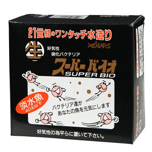 X[p[oCIiWj@40Lȉp@oNeA@Mы@Ϗ܋@֓