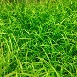 ijGLmhX@elXitji_ji5j