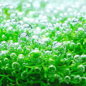 ijh[tVAitji_ji1pbNj@kCEBq֗vۉ