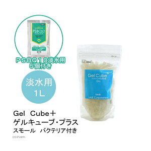 �i�M�ы��j�W���p��ߍށ@Gel�@Cube�{�i�Q���L���[�u�E�v���X�j�@�o�N�e���A�t���@�X���[���@1���b�g���{PSBQ10�@30mL�@5�@�{�B�l������