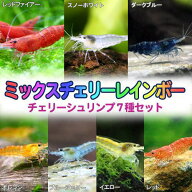 （エビ）ミックスチェリー・レインボー　7種各1匹セット