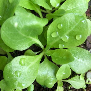 ijEH[^[[Y@q@t3`6xi_jitji2j