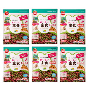 }J@XEnX^[̂H@p@500g×6@nX^[t[h@@GT@a@֓