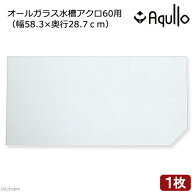 ガラスフタ　オールガラス水槽アクロ60用（幅58．3×奥行28．7cm）　1枚　関東当日便