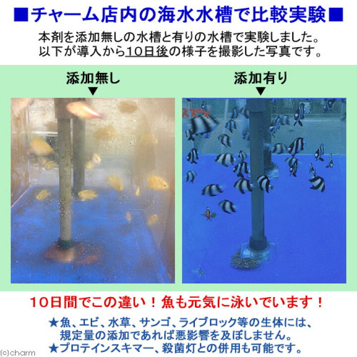 楽天市場 ゲルマニウムパワー new茶ゴケしらず 淡水 海水両用 50ml 1000l分 茶ゴケ 対策 関東当日便 Charm 楽天市場店 楽天市場 ゲルマニウムパワー new茶ゴケしらず 淡水 海水両用 50ml 1000l分 茶ゴケ 対策 関東当日便 Charm 楽天市場店
