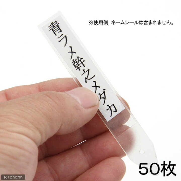 楽天市場 メダカ用ネームプレート クリア ５０枚 関東当日便 Charm 楽天市場店