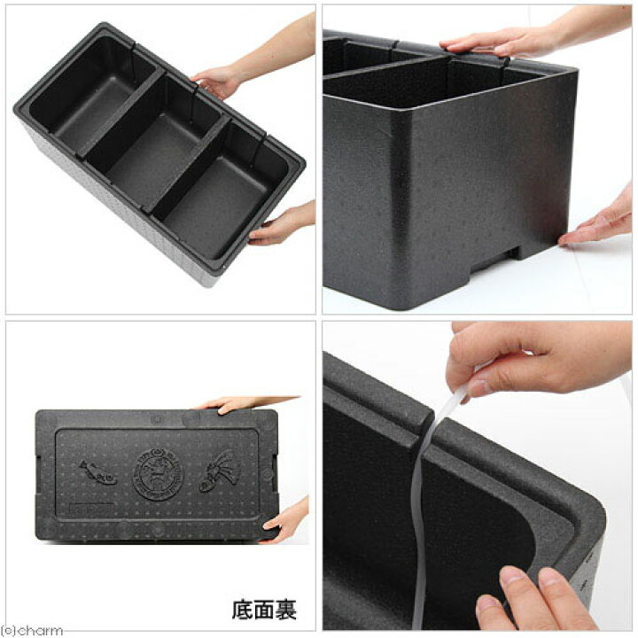 楽天市場】（めだか）メダカの2世帯住宅 3ルーム 楊貴妃メダカ飼育  