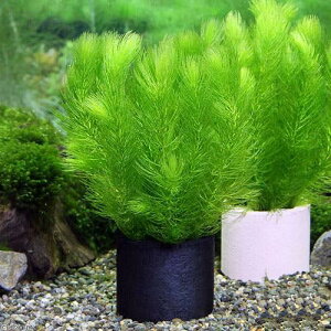 ijnjJVF^[ubN@}ci_ji1j_J@@򉻁@Y