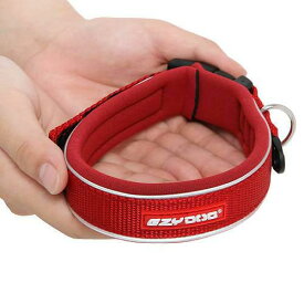犬　首輪　イージードッグ　ネオカラー　S　（首周り32〜36cm）　レッド　小型犬用　関東当日便