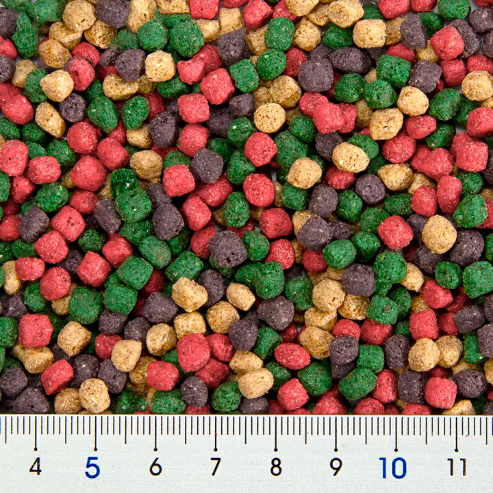 ビバリア レップカル リクガメフード 354g 草食性リクガメの毎日の食事に! 関東当日便 : charm 店 ビバリア レップカル リクガメフード 354g 草食性リクガメの毎日の食事に! 関東当日便 : charm 店