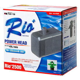 60Hz　カミハタ　Rio＋（リオプラス）　2500　流量40リットル／分　（西日本用）【HLS_DU】　関東当日便