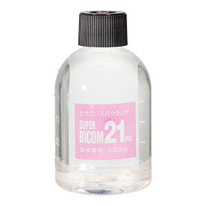 Wp@X[p[oCR@21PD@250ml@֓