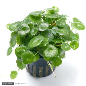 ij~j}bV[igsJ|bgjitji_ji1|bgj