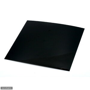 30cmL[up@vȉrobNXN[@30×30cm@@֓