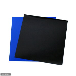 y11^1zIm21I1ő100@RG|30p@vȉrobNXN[@28D3×27D5cm@