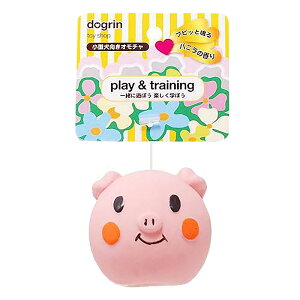 X[p[Lbg@Aj}tFCX@Ԃ@@p@֓